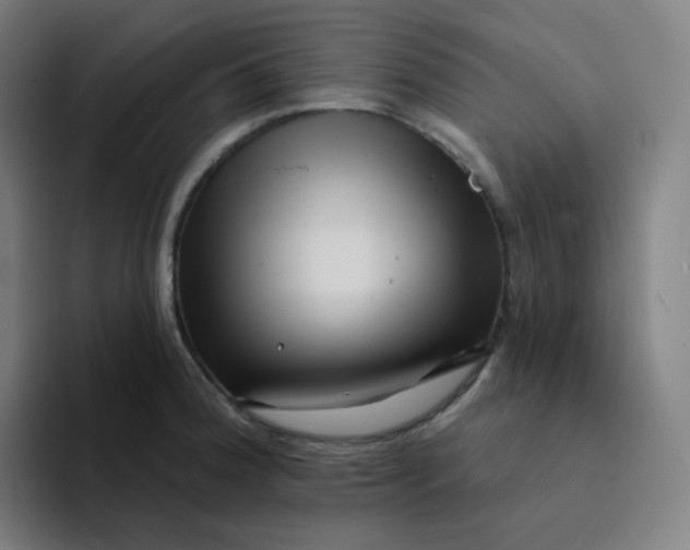 X0000094191188200711161742