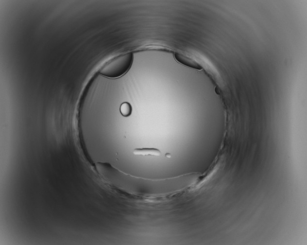 X0000094191190200711161742