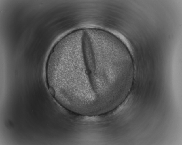 X0000094191191200711161742