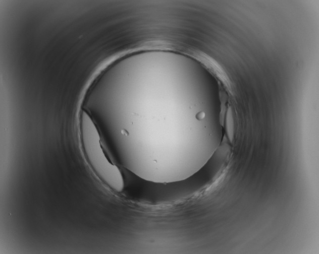 X0000094191192200711161742