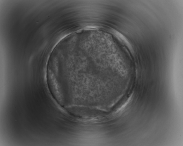 X0000094191194200711161742