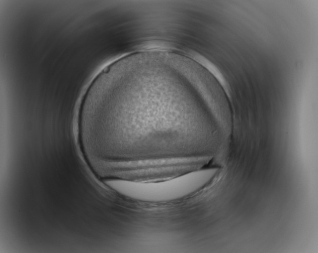 X0000094191195200711161742