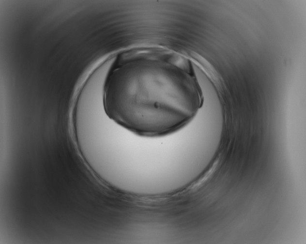 X0000094191196200711161742