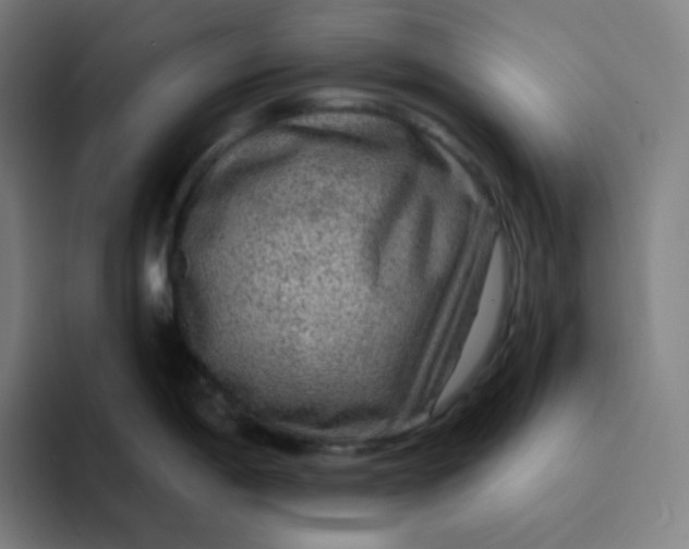 X0000094191198200711161742