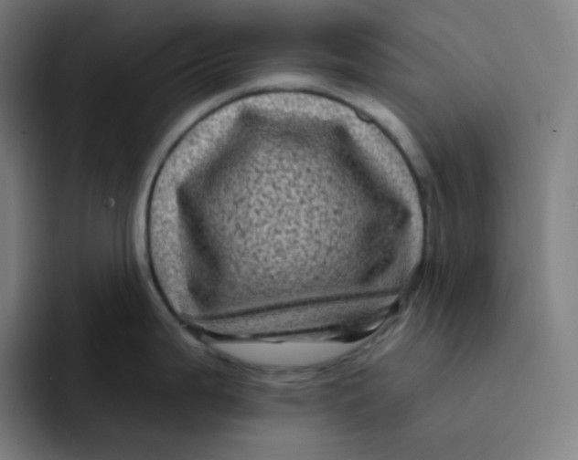 X0000094191199200711161742