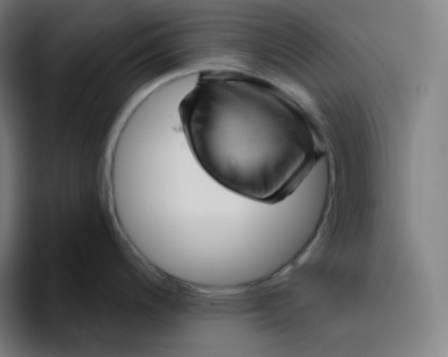 X0000094191200200711161742