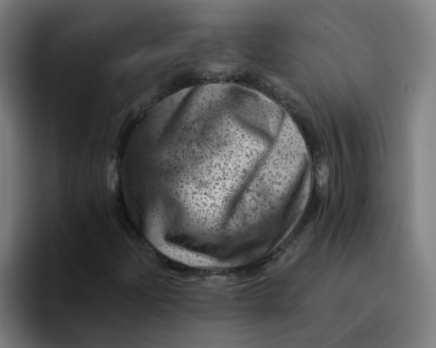 X0000094191204200711161741