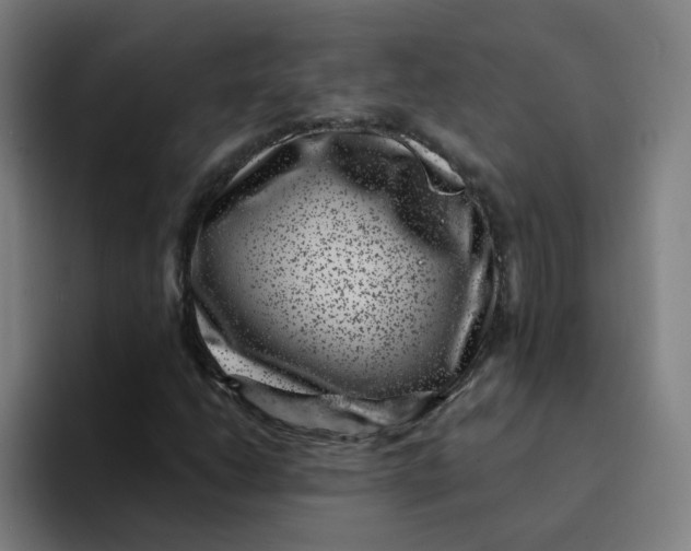 X0000094191206200711161741