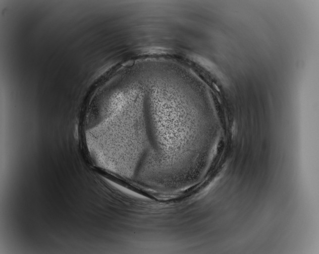 X0000094191209200711161741