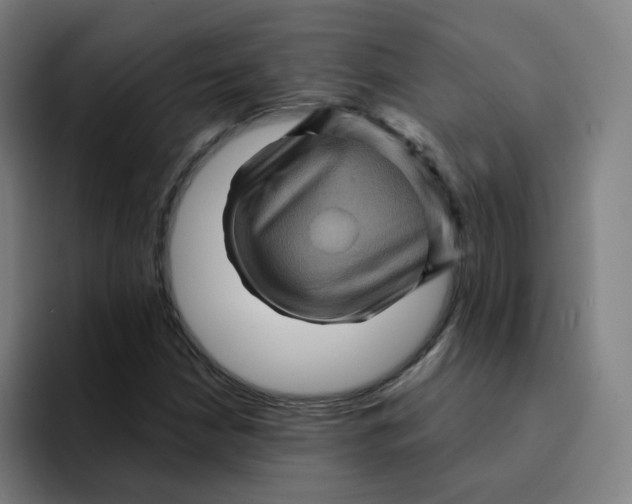 X0000094191210200711161741