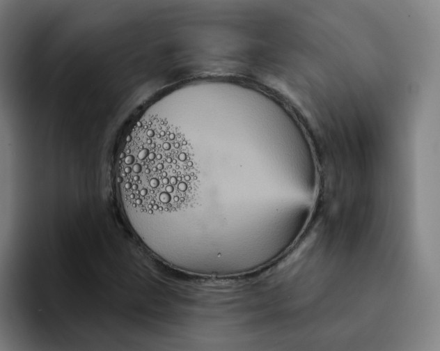 X0000094191211200711161741