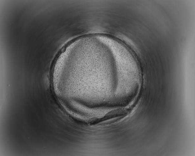 X0000094191212200711161741