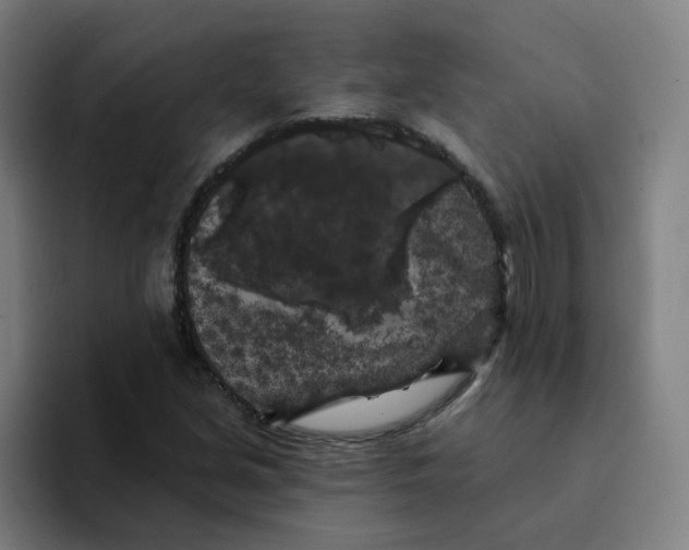 X0000094191213200711161741