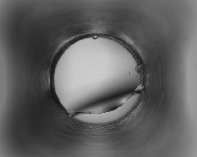 X0000094191214200711161741