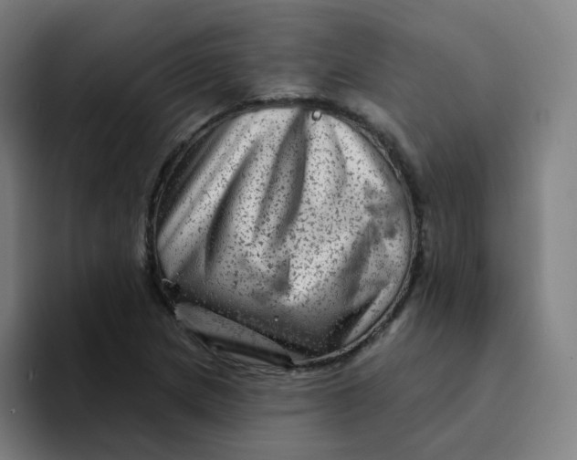 X0000094191217200711161741