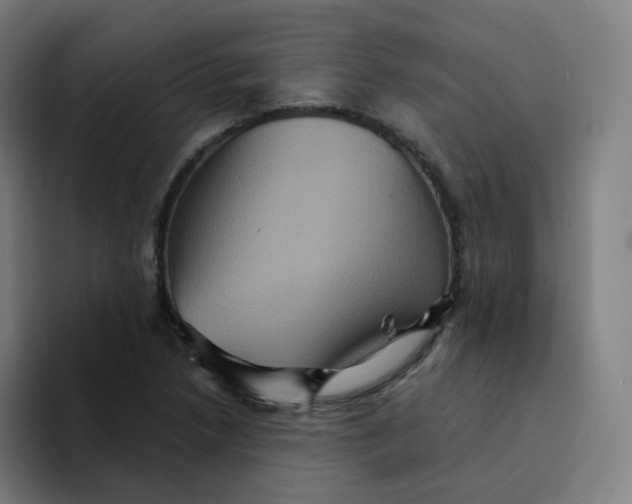 X0000094191218200711161741