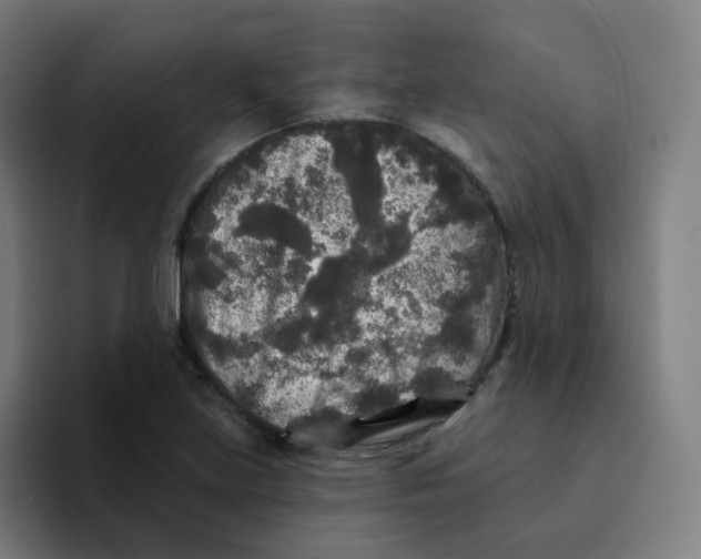 X0000094191219200711161741