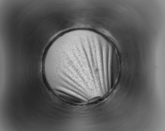 X0000094191220200711161741