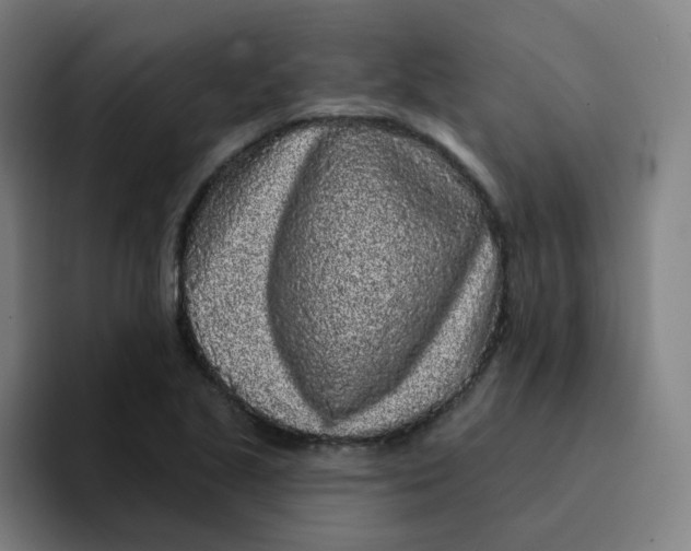 X0000094191221200711161741