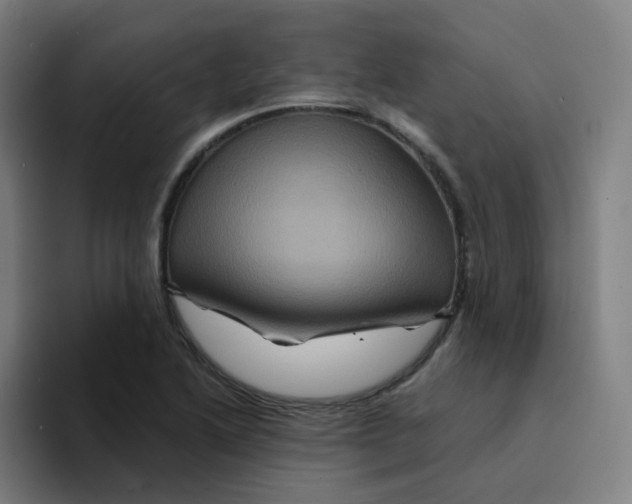 X0000094191222200711161741