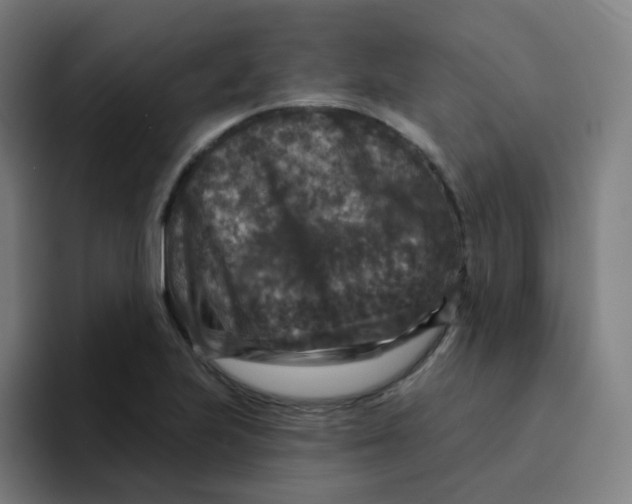 X0000094191223200711161741