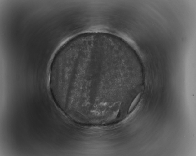 X0000094191224200711161741