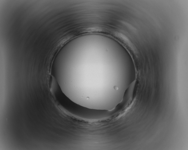 X0000094191225200711161741