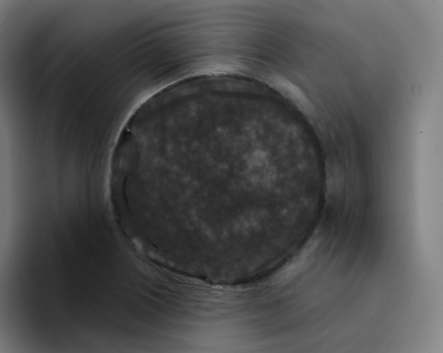 X0000094191226200711161741