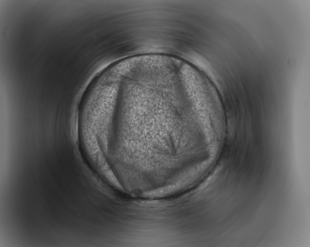 X0000094191227200711161741