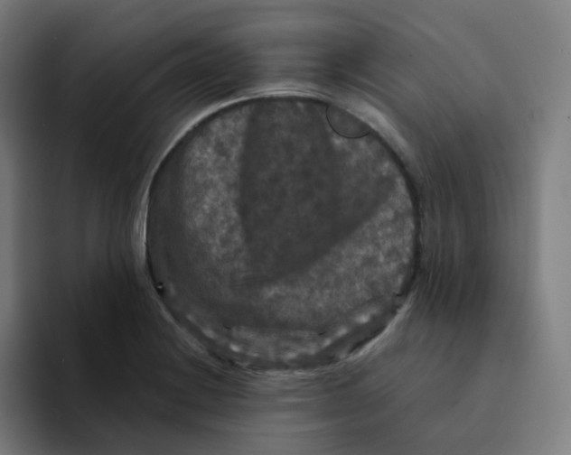 X0000094191228200711161741