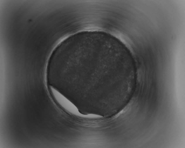 X0000094191229200711161741