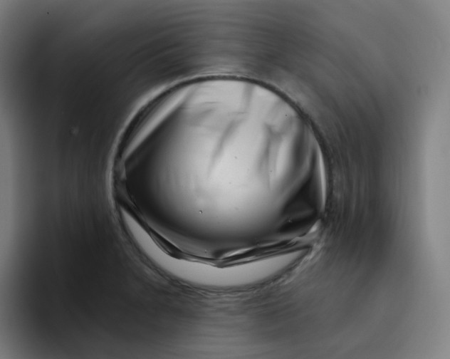 X0000094191230200711161741