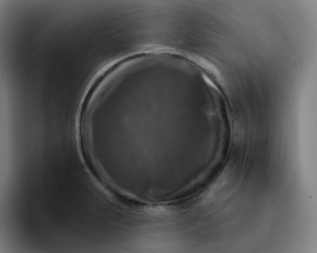 X0000094191231200711161741