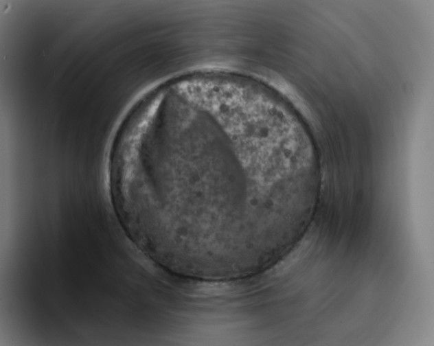 X0000094191232200711161741