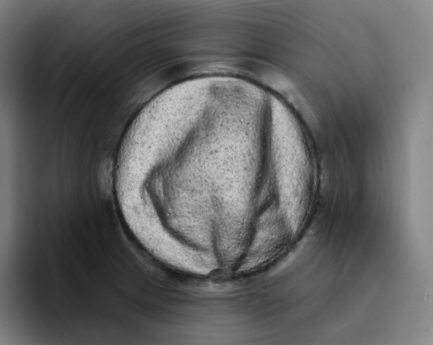 X0000094191233200711161741