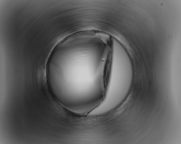 X0000094191234200711161741