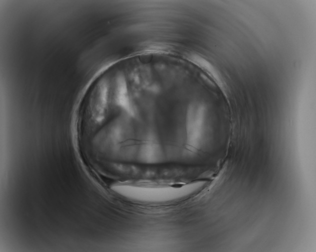 X0000094191235200711161741