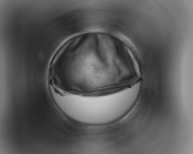 X0000094191236200711161741