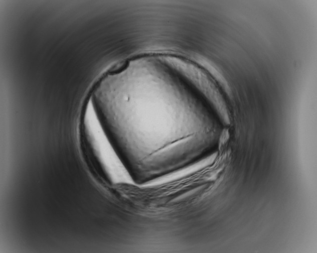 X0000094191237200711161741