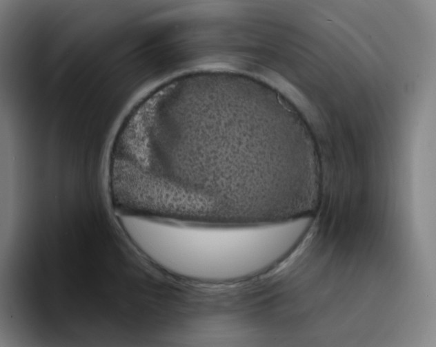 X0000094191240200711161741