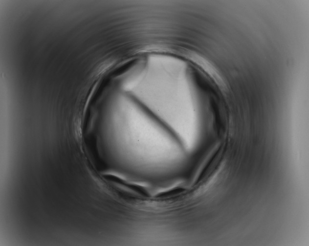 X0000094191241200711161741