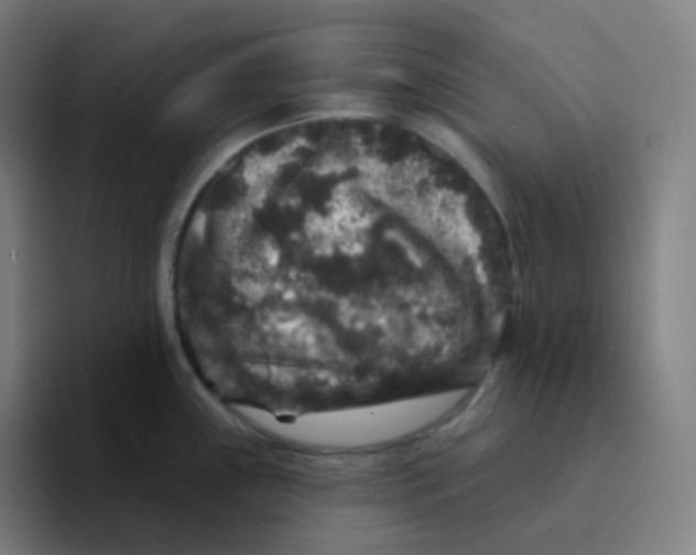 X0000094191243200711161741