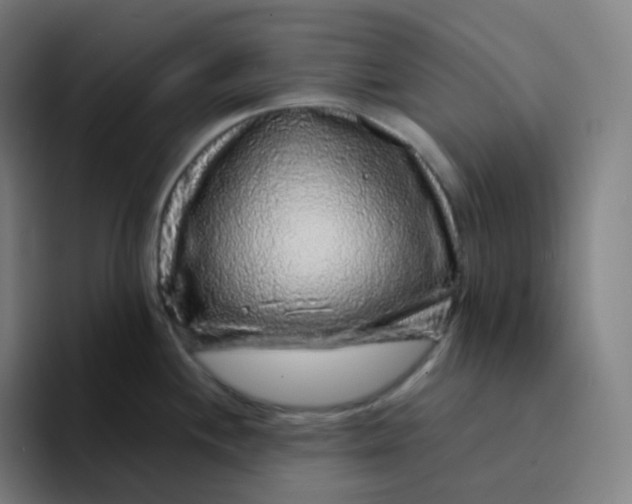 X0000094191244200711161741