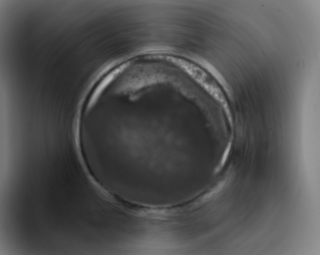 X0000094191245200711161741