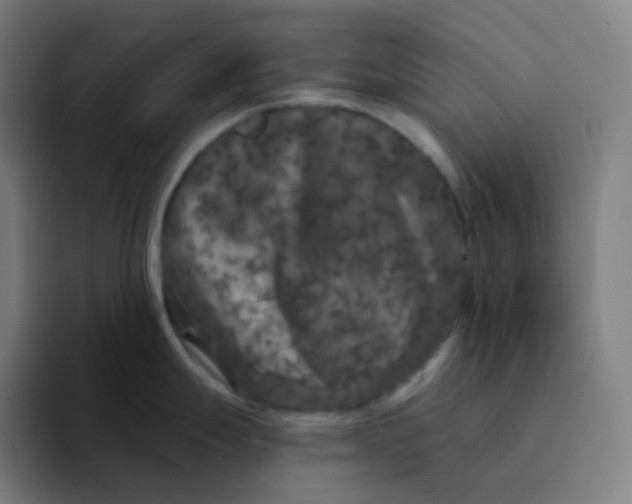 X0000094191247200711161742