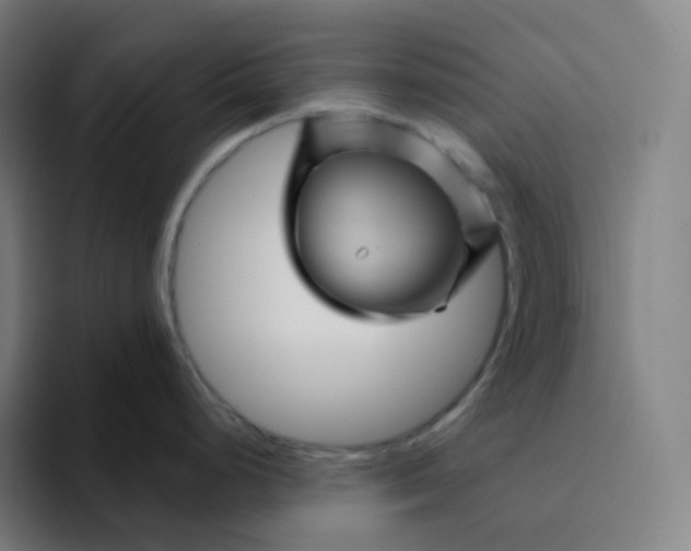 X0000094191248200711161742