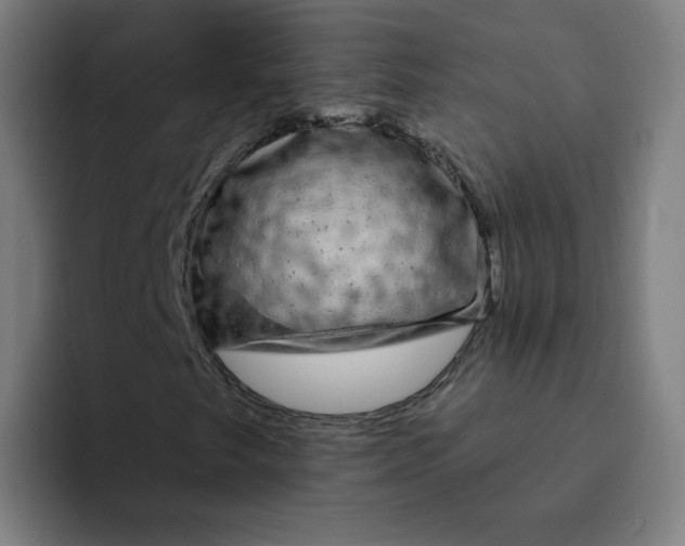 X0000094191249200711161741