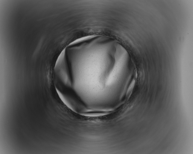 X0000094191250200711161741