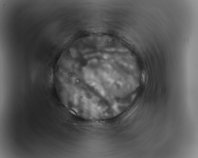 X0000094191251200711161741