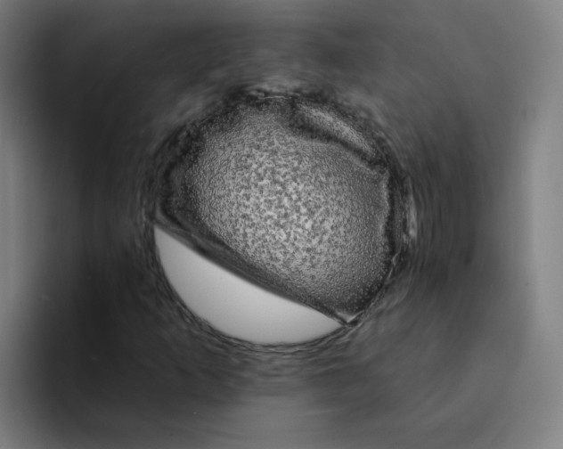 X0000094191253200711161741